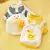 Roupas para pet - loja online