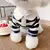 Blusas para pets - Kiks Pet Store - Petshop Online