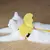 Coleira para pets - Kiks Pet Store - Petshop Online