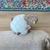 Chaveiro Gato que Abana o Rabo - Nivelles Cat Shop
