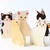 Cartão de Felicitação Gato na internet