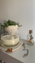 Envase Amanda - comprar online