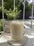 Vaso Flower