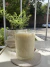 Vaso Flower