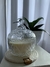 Caramelera Moria - comprar online