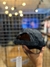 Boné Especial Lacoste Allblack na internet