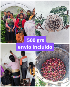 500 GRS CON ENVIO