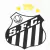 Camisa Reserva Santos Jogador 2024-25 - loja online