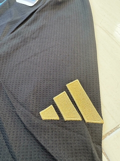 Camiseta Adidas de Argentina Prematch 3 Estrellas 2024 - tienda online