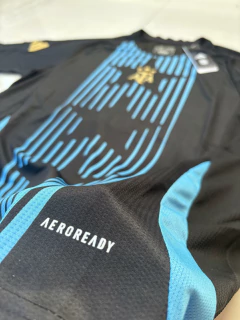 Imagen de Camiseta Adidas de Argentina Prematch 3 Estrellas 2024
