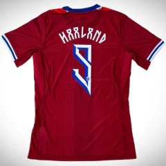 Camiseta Versión Jugador Nike de Noruega Titular Haaland 2024/25