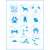 Kit Mini Stencil - Cães