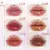 Novo lip tint degrade - My mochi team
