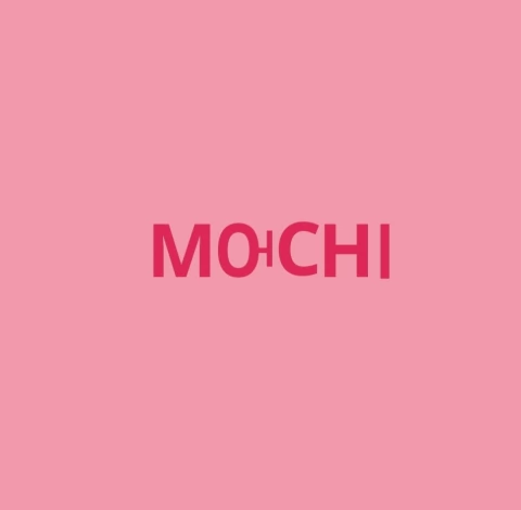 My mochi team
