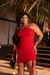 VESTIDO MILENA - comprar online