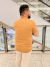 Camisetas OwlBasic Caneladas na internet