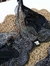 Conjunto Encaje Brigitte - comprar online