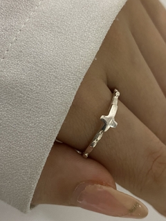 Anillo denario