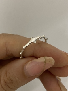 Anillo denario en internet