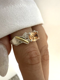 Anillo modelo 501 en internet