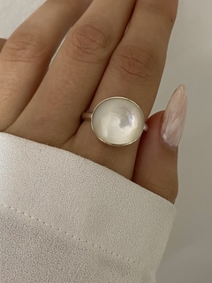 Anillo modelo 81 en internet