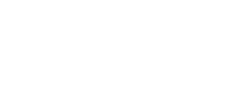 POLO SUR MAYORISTA