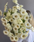 Ramo de Gerberas - comprar online