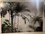Papel de Parede Paisagem Tropical com Palmeiras Aquareladas na internet