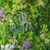 Papel de Parede Jardim Vertical com Folhagens Verdes e Toques Florais com Plantas Tropicais e Detalhes Naturais