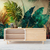 Papel de Parede Tropical Folhagem Exótica - ideias para quarto casal rustico na internet