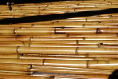 Banner de la categoría Cañas Sueltas