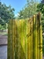 Cerco de Caña de Bambu Verde natural 1m x 2m - comprar online