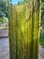 Cerco de Caña de Bambu 1m x 1,50m Verde Natural - NATURA BAMBU