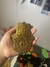 Porta sahumerio mano de Fátima en internet