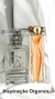 Imagem do Perfume Artesanal Feminino
