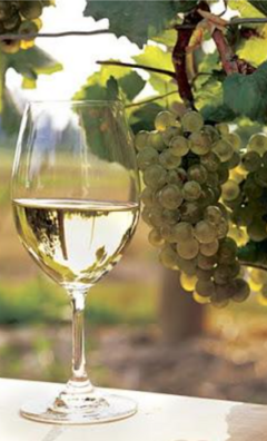 Banner de la categoría Vinos Blancos