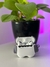 Imagen de Funda Silicona Animada Airpod Pro 2