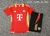 Kit-Treino Manga Curta - BAYERN MUNIQUE 24/25 - comprar online
