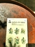Anhelo de Raices de May Sarton