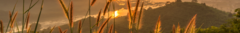 Banner de la categoría Miniturismo