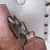Bolsas de couro para mulheres, bolsas crossbody, bolsa de ombro, bolsas, sacola,