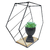 Prateleira Hexagonal em Metal e Madeira c/ design moderno - comprar online