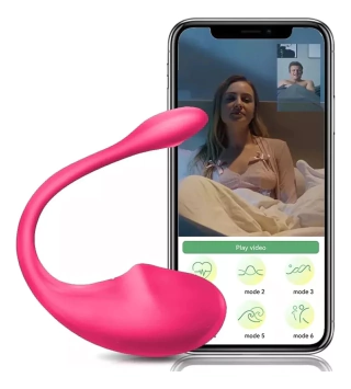 Vibrator