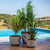 Maceta Redonda Tribo Machiatto 52x39cm Liviana Resistente Uv - comprar online