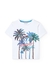 Conjunto Manuel en internet