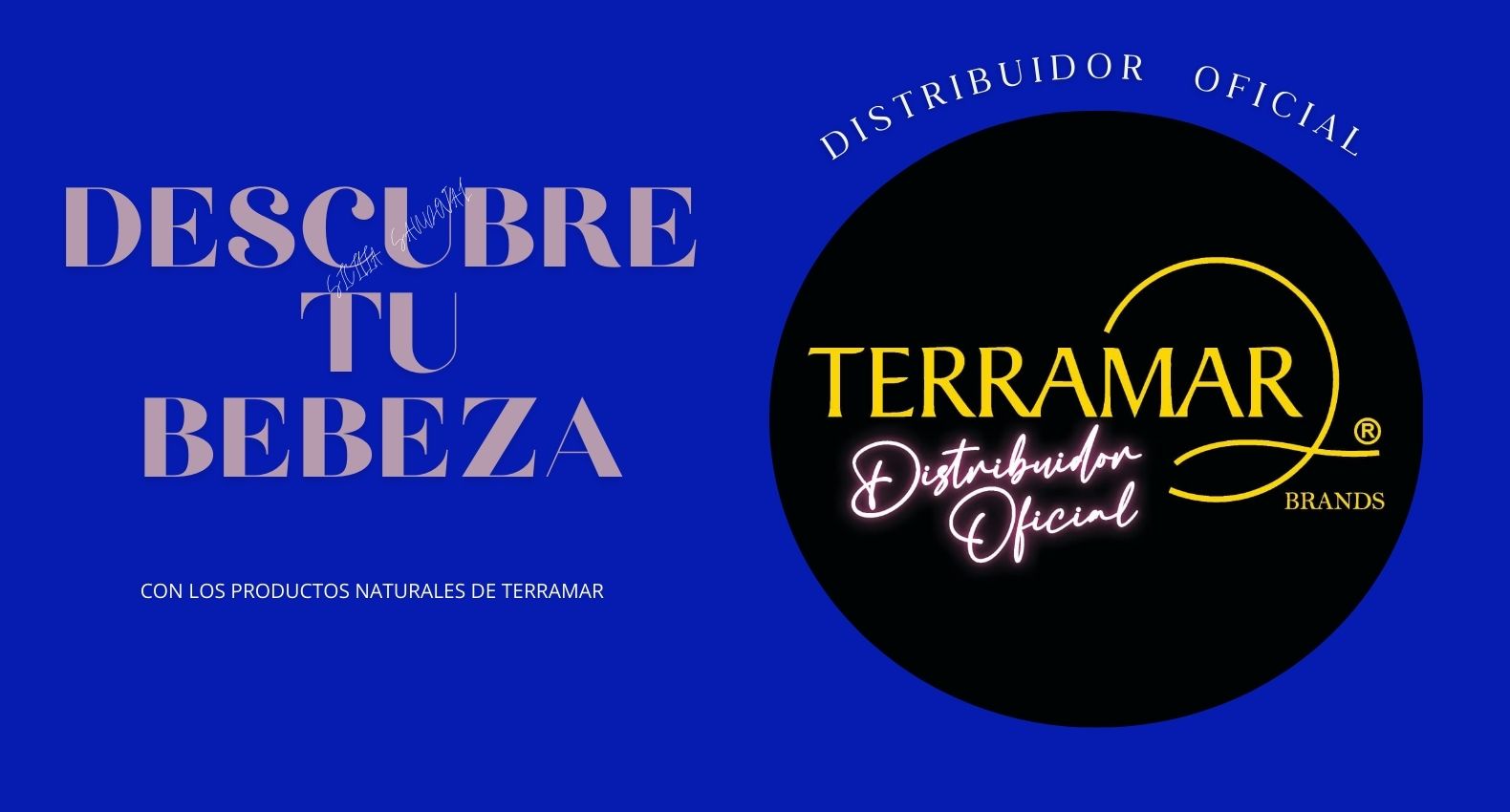 Imagen del carrusel terramar