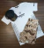 Kit camiseta e bermuda - comprar online