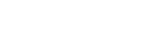 Valeica Shoes
