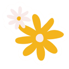 Conocé nuestras políticas