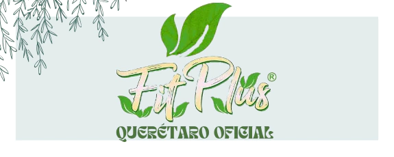 Fit Querétaro Oficial 